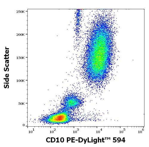 Anti-Hu CD10 PE-DyLight™ 594