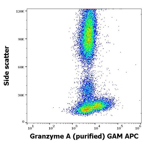 Anti-Hu Granzyme A Purified