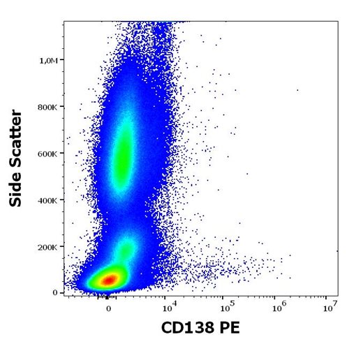 Anti-Hu CD138 PE