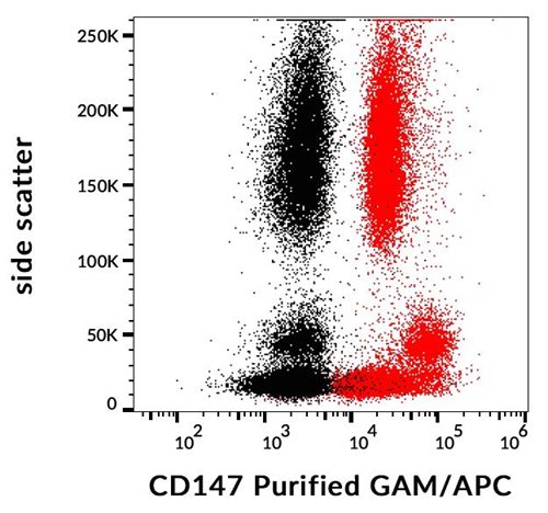 Anti-Hu CD147 Purified