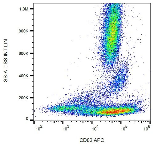 Anti-Hu CD82 APC