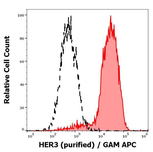 Anti-Hu HER3 Purified