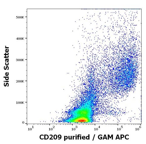 Anti-Hu CD209 Purified