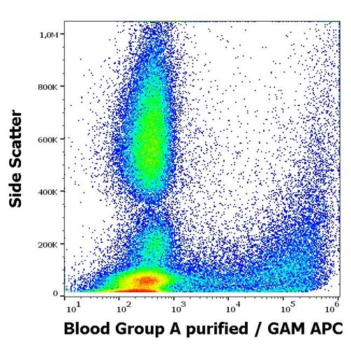 Anti-Blood Group A Purified