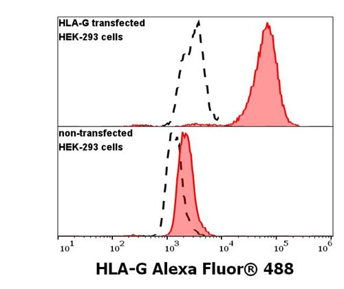 Anti-HLA-G Alexa Fluor<sup>®</sup> 488