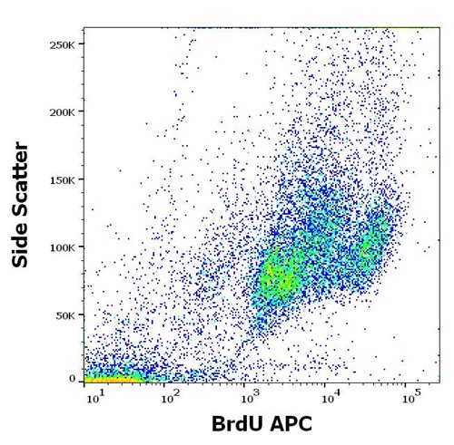 Anti-BrdU APC