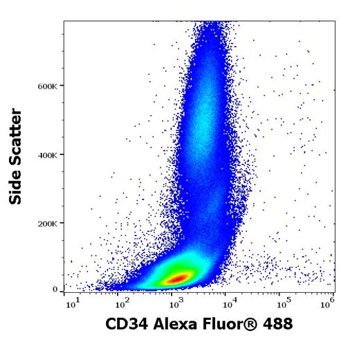 Anti-Hu CD34 Alexa Fluor<sup>®</sup> 488