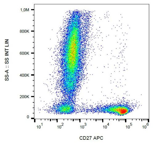 Anti-Hu CD27 APC