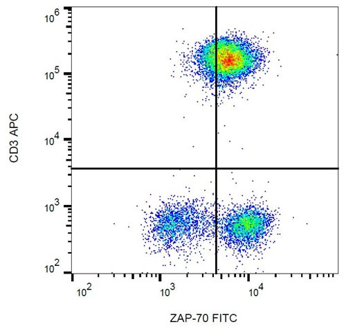 Anti-ZAP70 FITC