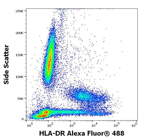 Anti-HLA-DR Alexa Fluor<sup>®</sup> 488