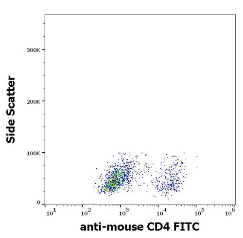 Anti-Ms CD4 FITC