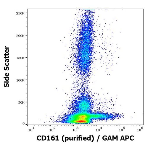 Anti-Hu CD161 Purified