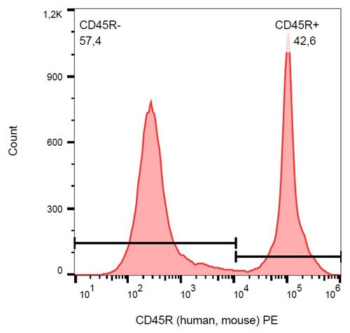 Anti-Ms CD45R PE