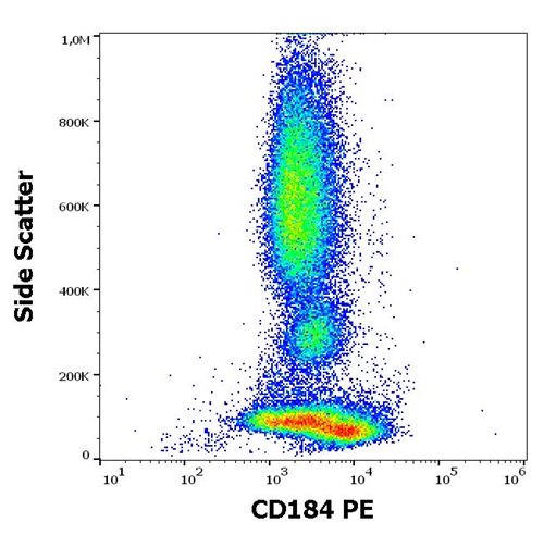 Anti-Hu CD184 PE