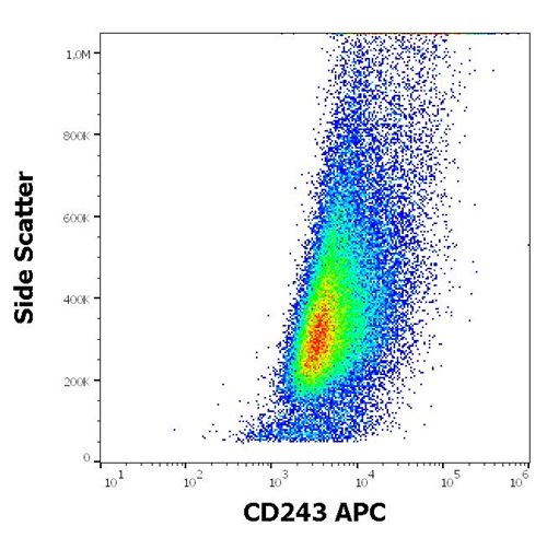 Anti-Hu CD243 APC