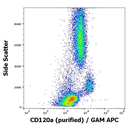 Anti-Hu CD120a Purified