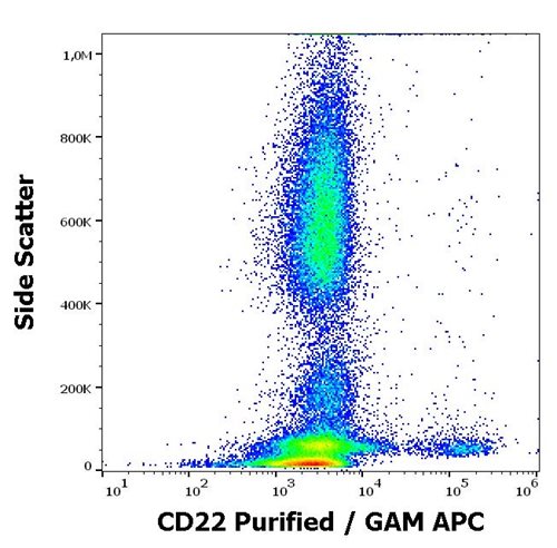 Anti-Hu CD22 Purified