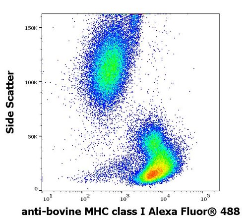 Anti-MHC Class I (α+β2m chains) Alexa Fluor<sup>®</sup> 488