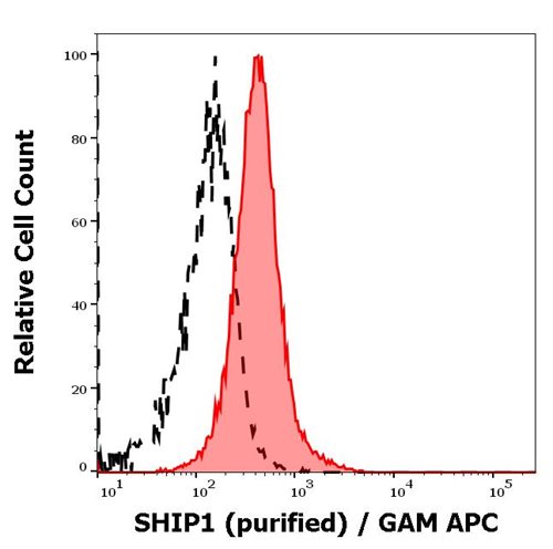 Anti-SHIP1 Purified