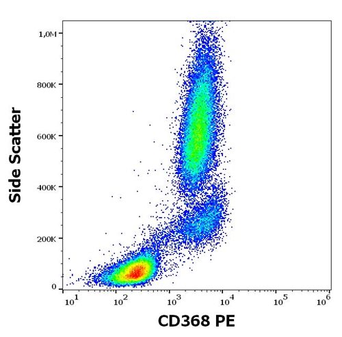 Anti-Hu CD368 PE