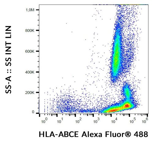 Anti-HLA-ABCE Alexa Fluor<sup>®</sup> 488