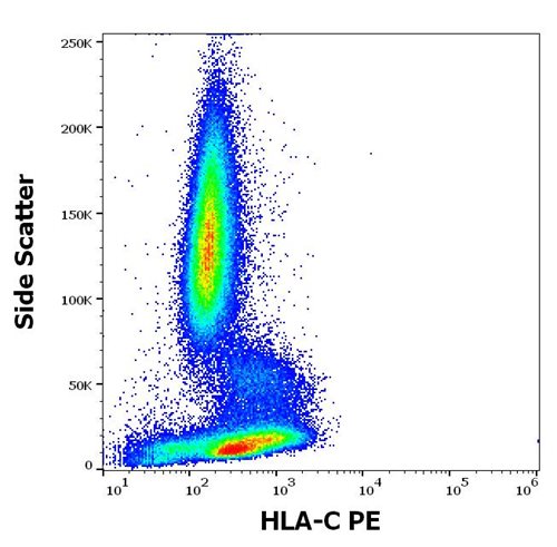 Anti-HLA-C PE