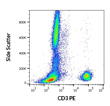 Anti-Hu CD3 PE