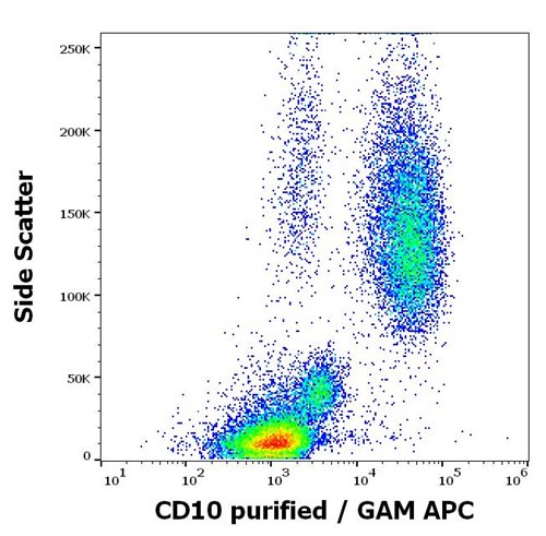 Anti-Hu CD10 Purified