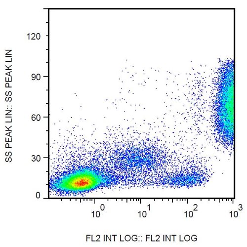 Anti-Hu CD16 Biotin