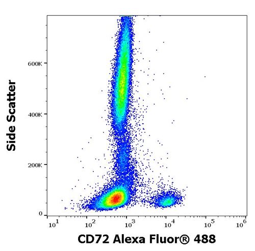 Anti-Hu CD72 Alexa Fluor<sup>®</sup> 488