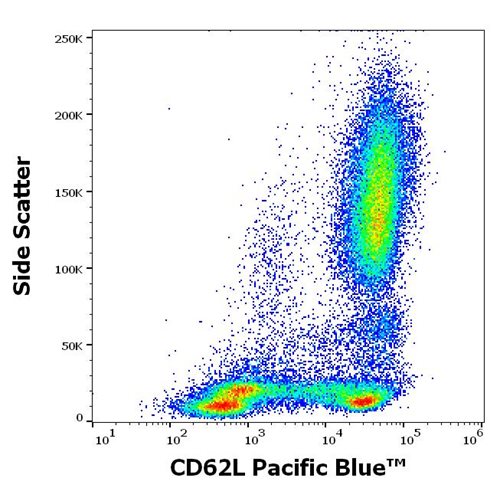 Anti-Hu CD62L Pacific Blue™