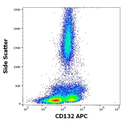 Anti-Hu CD132 APC