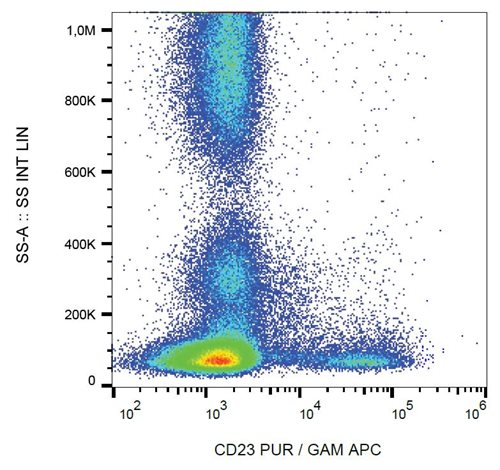 Anti-Hu CD23 Purified