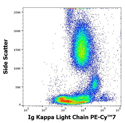 Anti-Hu Ig Kappa Light Chain PE-Cy™7