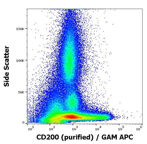 Anti-Hu CD200 Purified