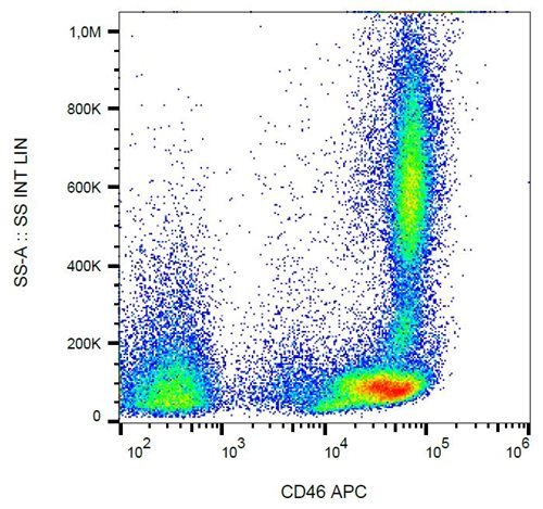 Anti-Hu CD46 APC