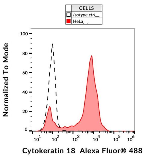 Anti-Cytokeratin 18 Alexa Fluor<sup>®</sup> 488