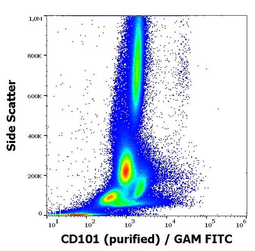 Anti-Hu CD101 Purified