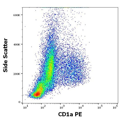 Anti-Hu CD1a PE