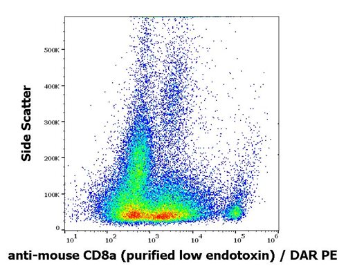 Anti-Ms CD8a Purified Low Endotoxin