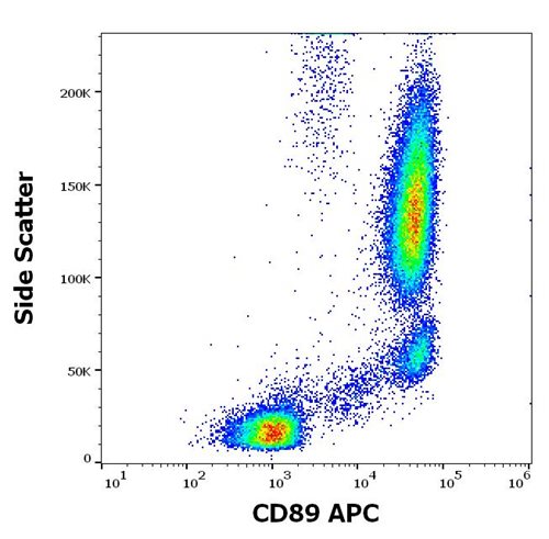 Anti-Hu CD89 APC