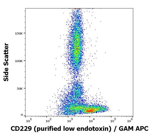 Anti-Hu CD229 Purified Low Endotoxin