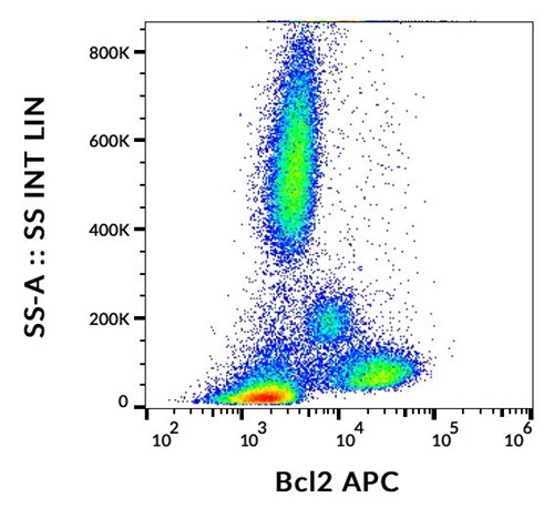 Anti-Hu BCL2 APC