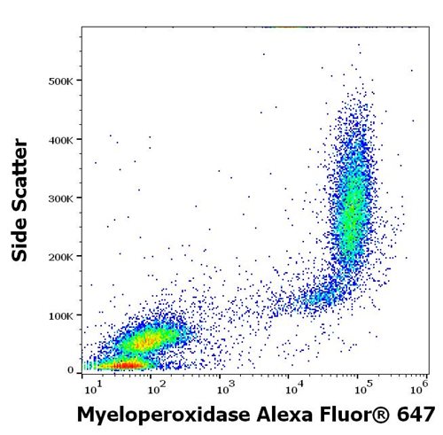 Anti-Hu Myeloperoxidase Alexa Fluor<sup>®</sup> 647