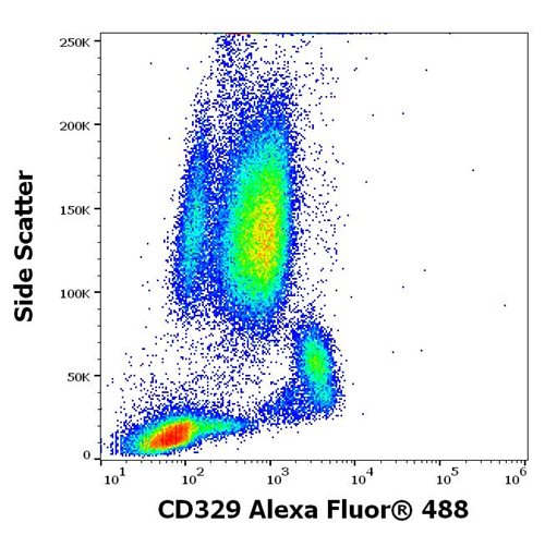 Anti-Hu CD329 Alexa Fluor<sup>®</sup> 488
