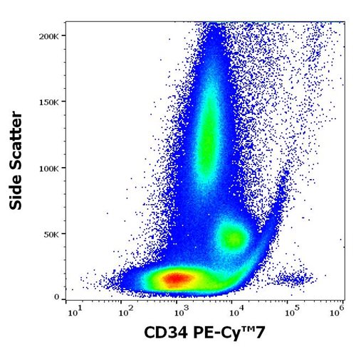 Anti-Hu CD34 PE-Cy™7