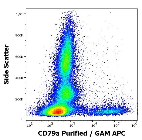 Anti-Hu CD79a Purified