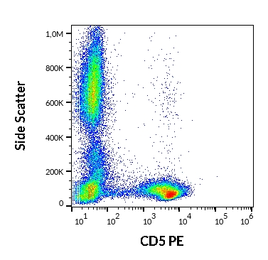 Anti-Hu CD5 PE