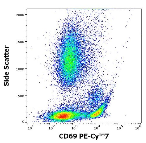 Anti-Hu CD69 PE-Cy™7