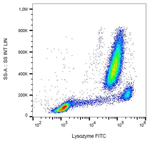 Anti-Lysozyme FITC